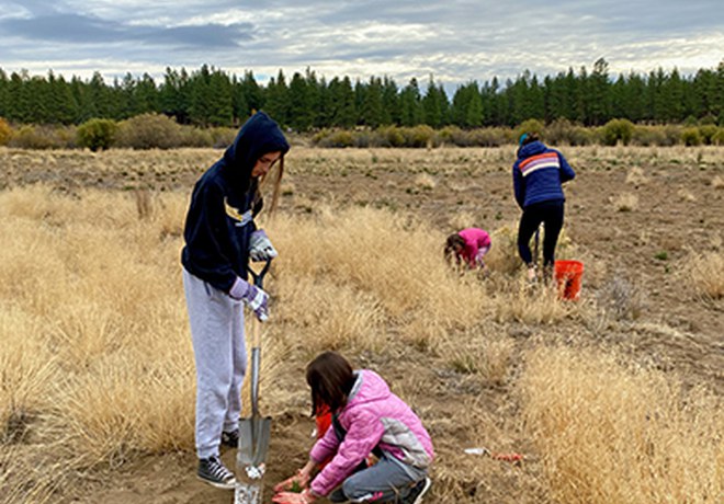 Plantings Wrap Up at Land Trust Preserves
