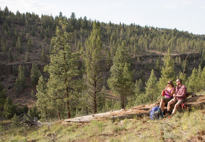 A Spring Field Guide to Whychus Canyon Preserve