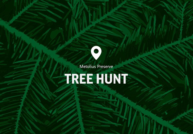 Land Trust Hosts Annual Tree Hunt