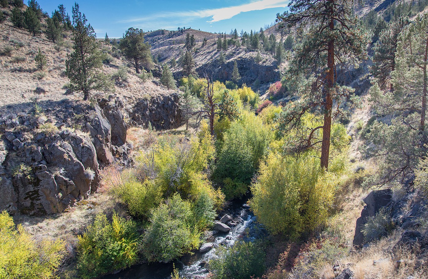 Whychus Creek at Alder Springs. Photo: Randy Tomer.