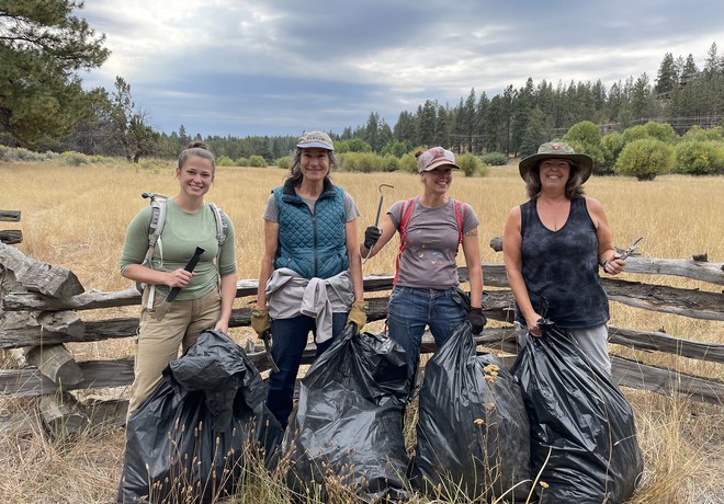 Managing Weeds on Land Trust Preserves
