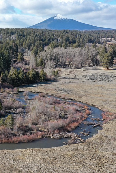 Wood structures in Whychus Creek at Willow Springs Preserve. Photo: Anabranch Solutions/Gus Wathen.