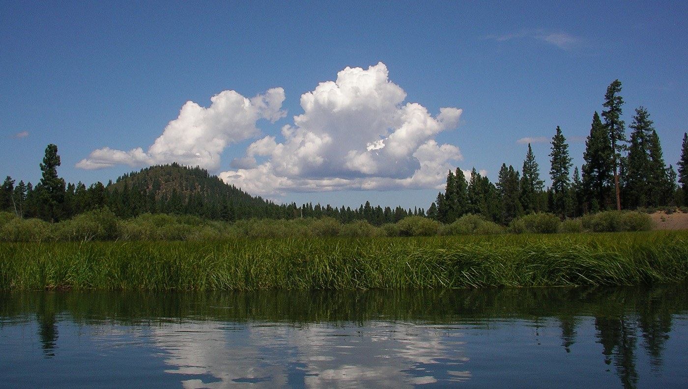 Thomas Preserve. Photo: Land Trust.