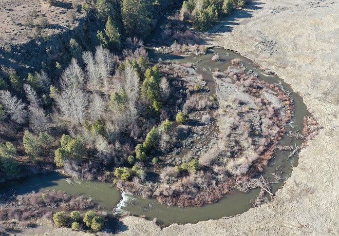 Willow Springs Preserve Restoration Update