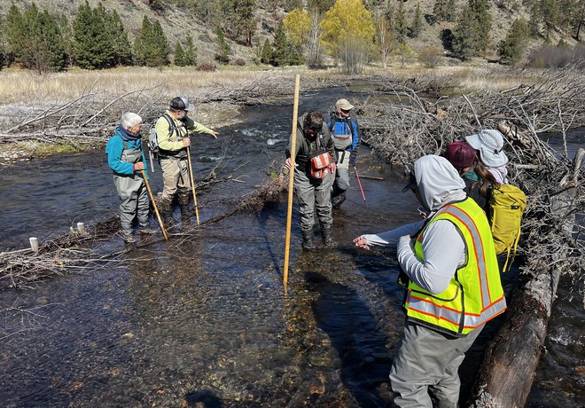 Spawning Nests Found at Rimrock Ranch