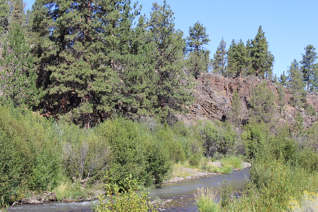 Welcome to Willow Springs Preserve!