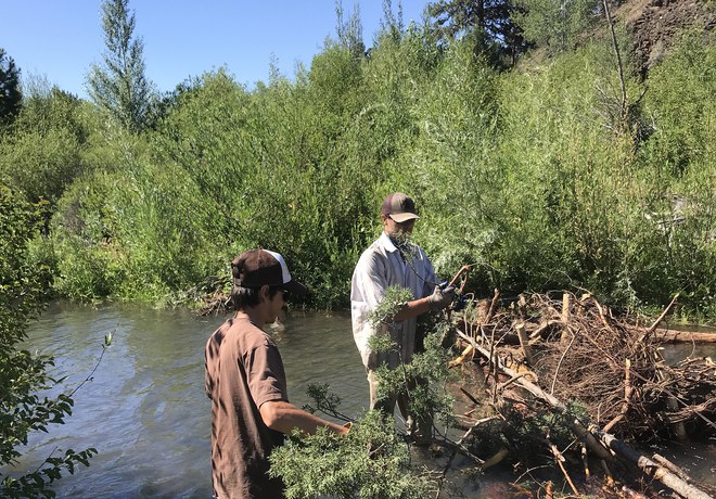 Willow Springs Preserve Restoration Moves Forward
