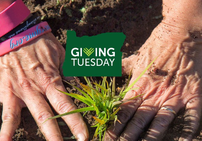 Double Your Impact with the Land Trust on Giving Tuesday