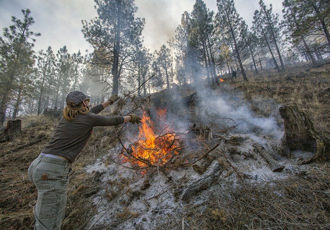 Pile Burning at Land Trust Preserves This Winter