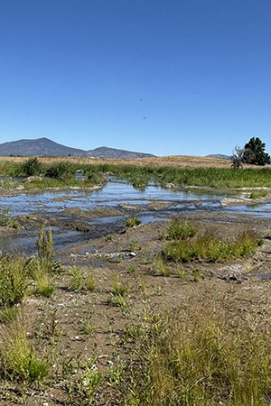 Newly restored McKay Creek at Ochoco Preserve. Photo: Land Trust.
