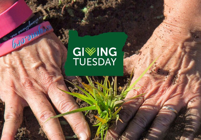 Giving Tuesday Giving Tuesday