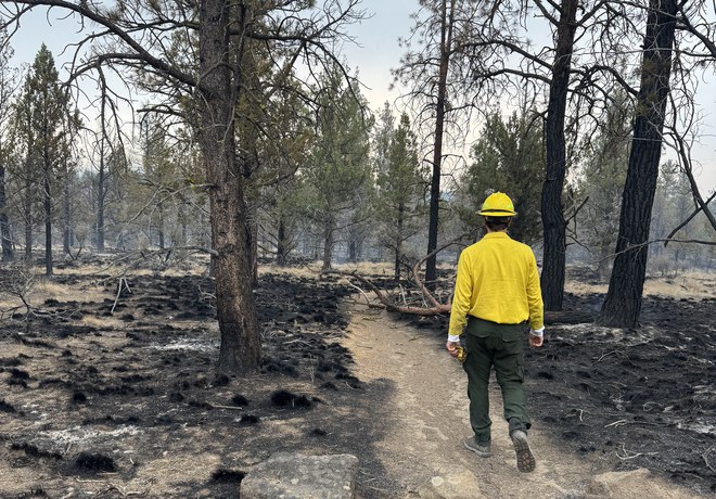 Caring for the Land in Wildfire Country