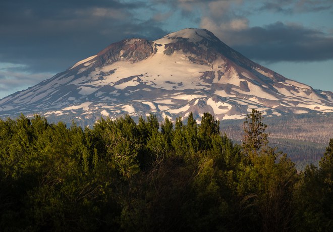 What’s All the Buzz About?