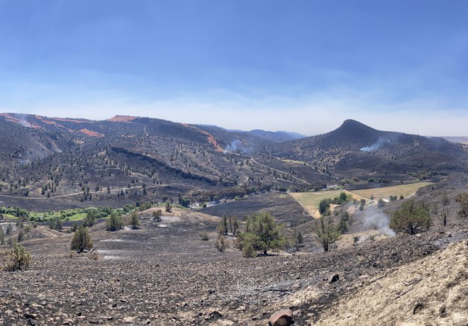 The Madras Pioneer reports on Priday Ranch's recovery after the Cram Fire