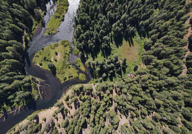 What is Carbon Sequestration?