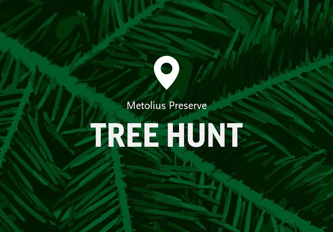 Tree Hunt Tree Hunt