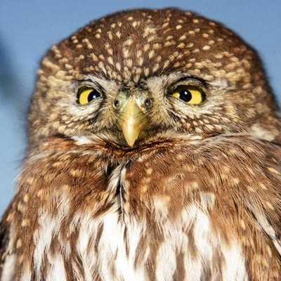 Photo: Jim Anderson.