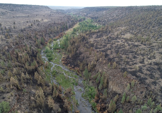 The Flat Fire and Stream Restoration