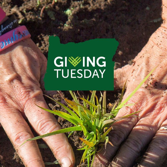 Double Your Impact with the Land Trust on Giving Tuesday Double Your Impact with the Land Trust on Giving Tuesday