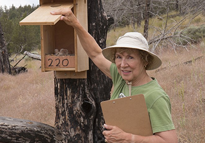 Kestrel Monitoring, Not for the Faint of Heart