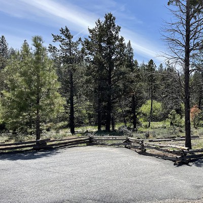 Stick to designated parking areas to prevent dry plants from catching fire! Photo: Land Trust.