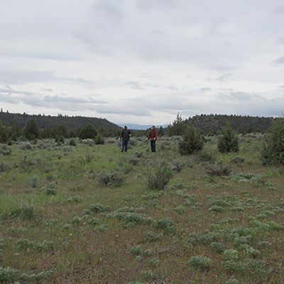 Backpack sprayers with handheld wands allow us to target individual plants with herbicide. Photo: Land Trust. 