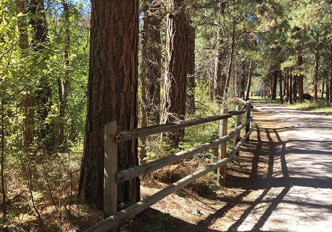 Aspen Hollow Preserve Restoration
