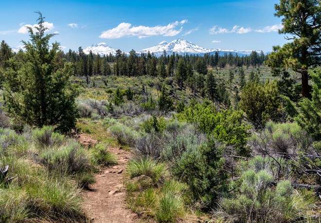 Land Trust Welcomes Summer Intern Pete Muhitch