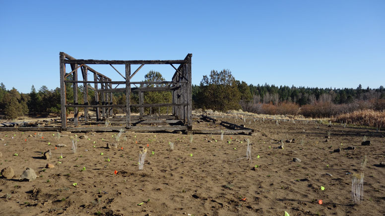 The Hindman barn in November 2018 with the first round of new native plants! Photo: Land Trust.